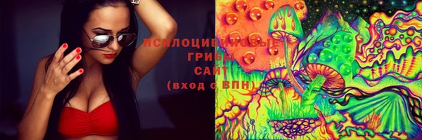 соль ск Абаза