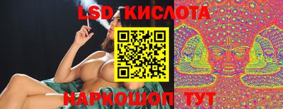 гашик Кулебаки