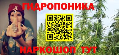 крисы Кунгур