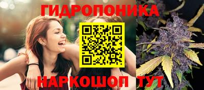 гашик Кулебаки