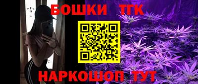 гашик Кулебаки