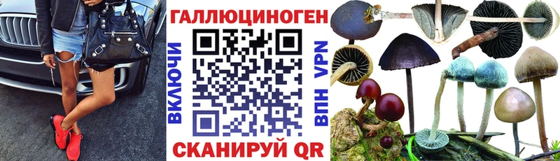 кракен сайт  Котовск  Псилоцибиновые грибы Cubensis  где продают наркотики 